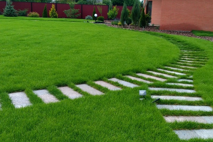 Укладка газона и мощение дорожек