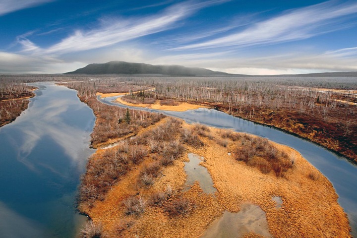 Сколько стоит ущерб сибирской природе и кто не платит налоги. Числа недели