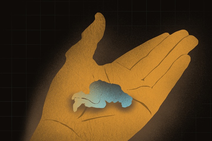 Сексуальные дела военнослужащих. Исследование Тайги.инфо Сексуальные дела военнослужащих. Исследование Тайги.инфо