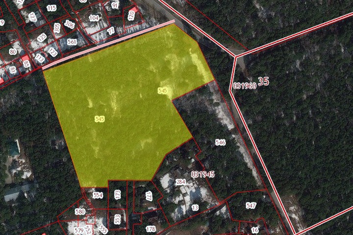 Мэрия вернула незаконно проданный участок Заельцовского бора