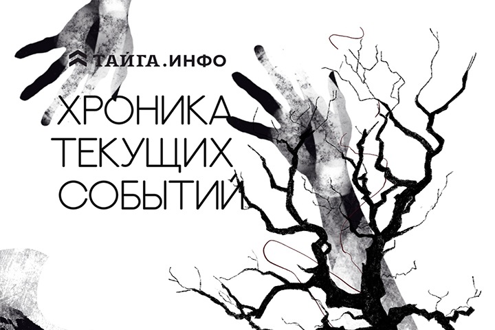 Хроника текущих событий. Экономика, общество, политика. Выпуск 253